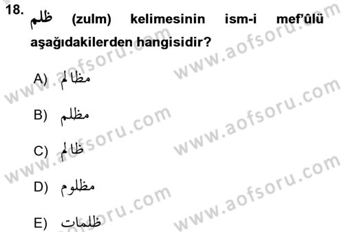 Osmanlı Türkçesi Grameri 1 Dersi 2024 - 2025 Yılı Yaz Okulu Sınav Soruları 18. Soru