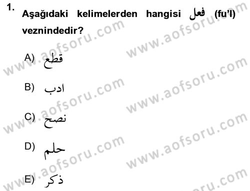 Osmanlı Türkçesi Grameri 1 Dersi 2025 - 2026 Yılı (Vize) Ara Sınav Soruları 1. Soru