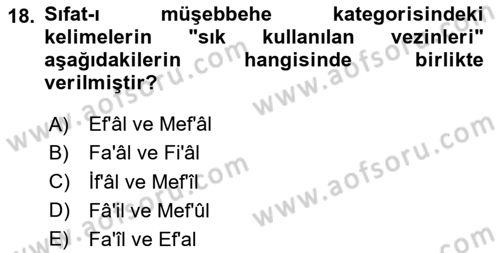 Osmanlı Türkçesi Grameri 1 Dersi 2025 - 2026 Yılı (Final) Dönem Sonu Sınav Soruları 18. Soru