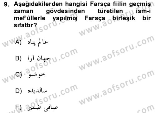 Osmanlı Türkçesi Grameri 2 Dersi 2017 - 2018 Yılı (Vize) Ara Sınav Soruları 9. Soru