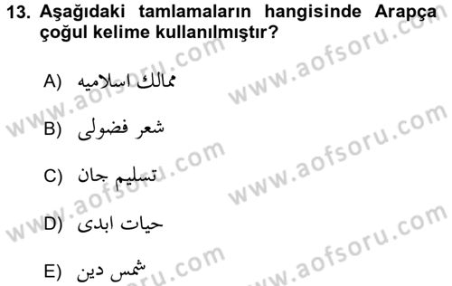 Osmanlı Türkçesi Grameri 2 Dersi 2017 - 2018 Yılı (Final) Dönem Sonu Sınav Soruları 13. Soru