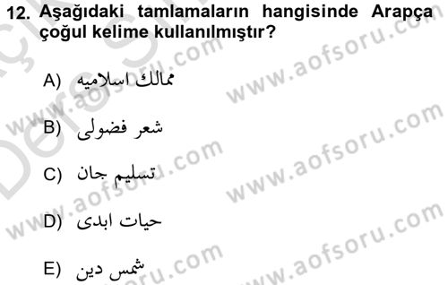Osmanlı Türkçesi Grameri 2 Dersi 2018 - 2019 Yılı 3 Ders Sınav Soruları 12. Soru