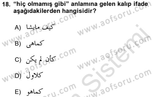 Osmanlı Türkçesi Grameri 2 Dersi 2018 - 2019 Yılı 3 Ders Sınavı 18. Soru