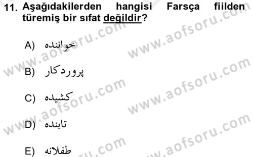Osmanlı Türkçesi Grameri 2 Dersi 2018 - 2019 Yılı (Vize) Ara Sınav Soruları 11. Soru
