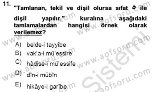 Osmanlı Türkçesi Grameri 2 Dersi 2020 - 2021 Yılı Yaz Okulu Sınav Soruları 11. Soru