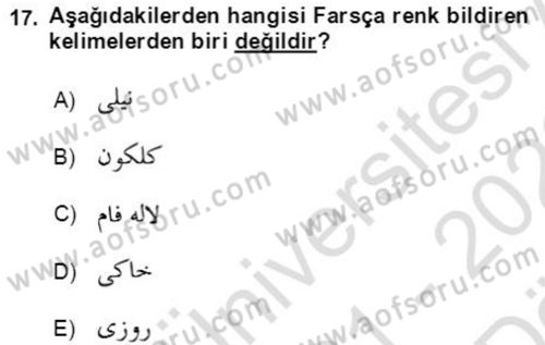 Osmanlı Türkçesi Grameri 2 Dersi 2021 - 2022 Yılı (Vize) Ara Sınav Soruları 17. Soru