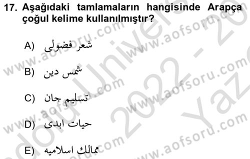 Osmanlı Türkçesi Grameri 2 Dersi 2022 - 2023 Yılı Yaz Okulu Sınav Soruları 17. Soru