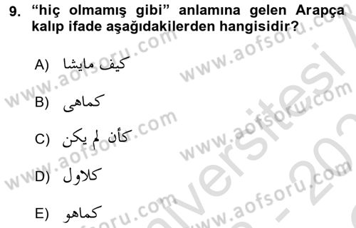 Osmanlı Türkçesi Grameri 2 Dersi 2022 - 2023 Yılı Yaz Okulu Sınav Soruları 9. Soru
