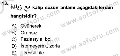 Osmanlı Türkçesi Grameri 2 Dersi 2023 - 2024 Yılı Yaz Okulu Sınav Soruları 13. Soru