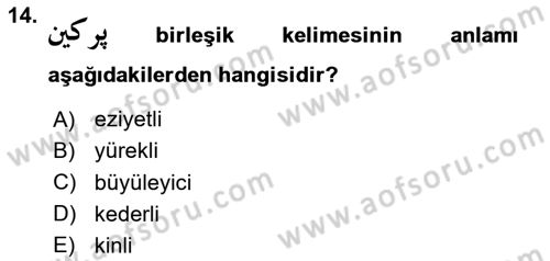 Osmanlı Türkçesi Grameri 2 Dersi 2024 - 2025 Yılı Yaz Okulu Sınav Soruları 14. Soru