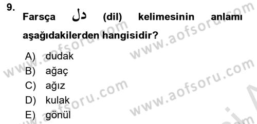 Osmanlı Türkçesi Grameri 2 Dersi 2024 - 2025 Yılı Yaz Okulu Sınav Soruları 9. Soru