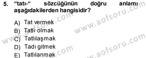 XI-XIII. Yüzyıllar Türk Dili Dersi 2013 - 2014 Yılı (Vize) Ara Sınav Soruları 5. Soru