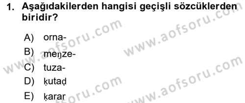 XI-XIII. Yüzyıllar Türk Dili Dersi 2015 - 2016 Yılı (Final) Dönem Sonu Sınav Soruları 1. Soru