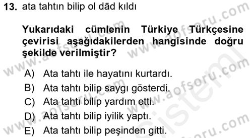 XI-XIII. Yüzyıllar Türk Dili Dersi 2015 - 2016 Yılı Tek Ders Sınav Soruları 13. Soru