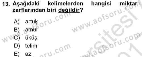 XI-XIII. Yüzyıllar Türk Dili Dersi 2016 - 2017 Yılı (Vize) Ara Sınav Soruları 13. Soru