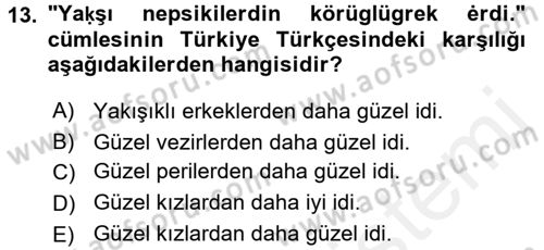 XI-XIII. Yüzyıllar Türk Dili Dersi 2016 - 2017 Yılı (Final) Dönem Sonu Sınav Soruları 13. Soru