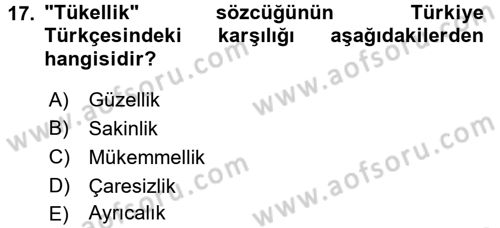 XI-XIII. Yüzyıllar Türk Dili Dersi 2016 - 2017 Yılı (Final) Dönem Sonu Sınav Soruları 17. Soru