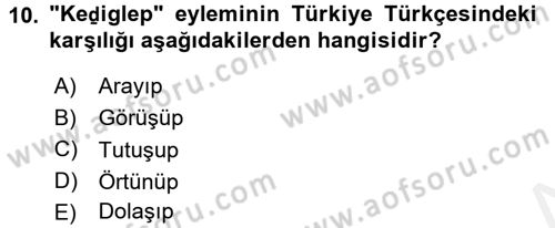 XI-XIII. Yüzyıllar Türk Dili Dersi 2017 - 2018 Yılı (Final) Dönem Sonu Sınav Soruları 10. Soru