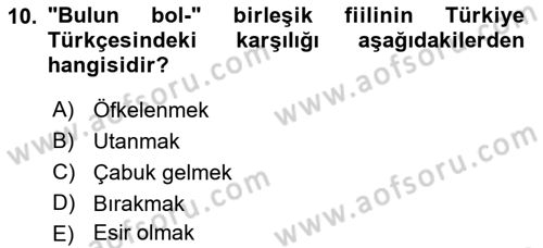 XI-XIII. Yüzyıllar Türk Dili Dersi 2018 - 2019 Yılı 3 Ders Sınav Soruları 10. Soru