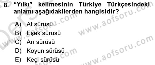 XI-XIII. Yüzyıllar Türk Dili Dersi 2018 - 2019 Yılı 3 Ders Sınav Soruları 8. Soru