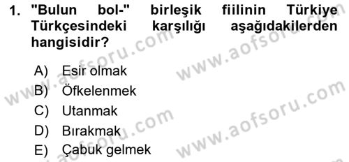 XI-XIII. Yüzyıllar Türk Dili Dersi 2018 - 2019 Yılı (Vize) Ara Sınav Soruları 1. Soru