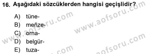 XI-XIII. Yüzyıllar Türk Dili Dersi Ara Sınavı Deneme Sınav Soruları 16. Soru