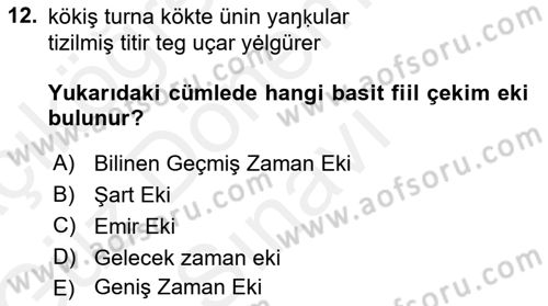 XI-XIII. Yüzyıllar Türk Dili Dersi 2018 - 2019 Yılı (Final) Dönem Sonu Sınav Soruları 12. Soru