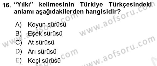 XI-XIII. Yüzyıllar Türk Dili Dersi 2018 - 2019 Yılı (Final) Dönem Sonu Sınav Soruları 16. Soru