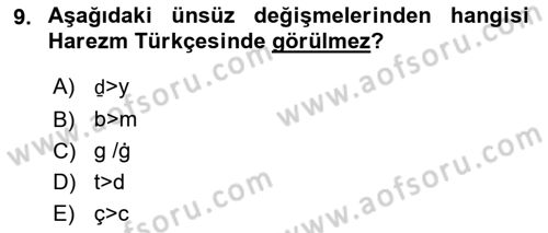 XI-XIII. Yüzyıllar Türk Dili Dersi 2018 - 2019 Yılı Yaz Okulu Sınav Soruları 9. Soru