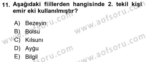 XI-XIII. Yüzyıllar Türk Dili Dersi Ara Sınavı Deneme Sınav Soruları 11. Soru
