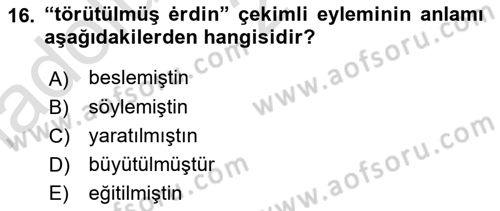 XI-XIII. Yüzyıllar Türk Dili Dersi Ara Sınavı Deneme Sınav Soruları 16. Soru