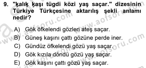 XI-XIII. Yüzyıllar Türk Dili Dersi Ara Sınavı Deneme Sınav Soruları 9. Soru