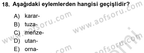 XI-XIII. Yüzyıllar Türk Dili Dersi 2020 - 2021 Yılı Yaz Okulu Sınav Soruları 18. Soru