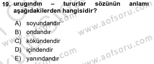 XI-XIII. Yüzyıllar Türk Dili Dersi 2020 - 2021 Yılı Yaz Okulu Sınav Soruları 19. Soru
