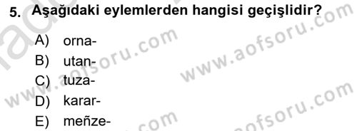 XI-XIII. Yüzyıllar Türk Dili Dersi Ara Sınavı Deneme Sınav Soruları 5. Soru