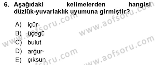 XI-XIII. Yüzyıllar Türk Dili Dersi Ara Sınavı Deneme Sınav Soruları 6. Soru