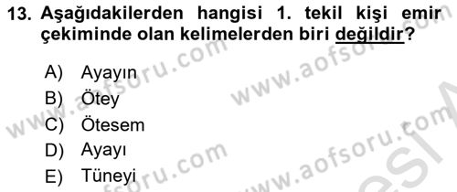 XI-XIII. Yüzyıllar Türk Dili Dersi Ara Sınavı Deneme Sınav Soruları 13. Soru