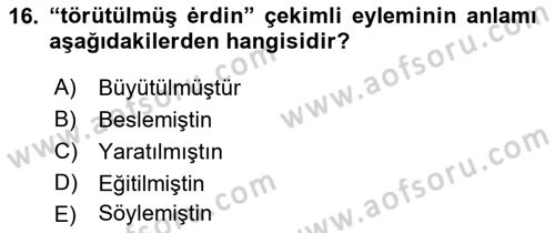 XI-XIII. Yüzyıllar Türk Dili Dersi 2022 - 2023 Yılı (Vize) Ara Sınav Soruları 16. Soru