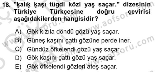 XI-XIII. Yüzyıllar Türk Dili Dersi 2022 - 2023 Yılı (Vize) Ara Sınav Soruları 18. Soru