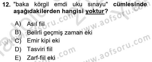 XI-XIII. Yüzyıllar Türk Dili Dersi 2022 - 2023 Yılı Yaz Okulu Sınav Soruları 12. Soru