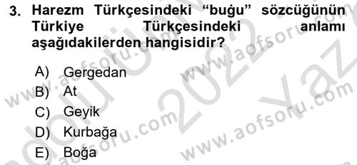 XI-XIII. Yüzyıllar Türk Dili Dersi 2022 - 2023 Yılı Yaz Okulu Sınav Soruları 3. Soru
