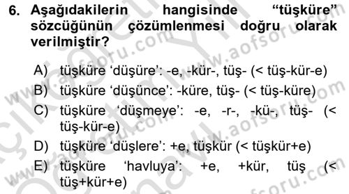 XI-XIII. Yüzyıllar Türk Dili Dersi 2022 - 2023 Yılı Yaz Okulu Sınav Soruları 6. Soru