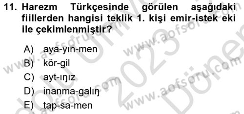 XI-XIII. Yüzyıllar Türk Dili Dersi 2023 - 2024 Yılı (Final) Dönem Sonu Sınav Soruları 11. Soru