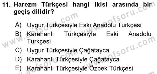 XI-XIII. Yüzyıllar Türk Dili Dersi 2023 - 2024 Yılı Yaz Okulu Sınav Soruları 11. Soru