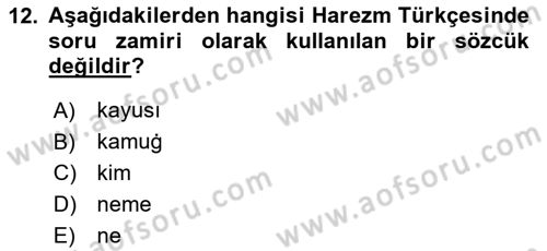XI-XIII. Yüzyıllar Türk Dili Dersi 2023 - 2024 Yılı Yaz Okulu Sınav Soruları 12. Soru