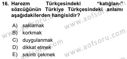 XI-XIII. Yüzyıllar Türk Dili Dersi 2023 - 2024 Yılı Yaz Okulu Sınav Soruları 16. Soru