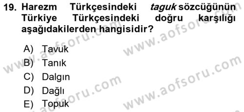 XI-XIII. Yüzyıllar Türk Dili Dersi 2024 - 2025 Yılı (Final) Dönem Sonu Sınav Soruları 19. Soru