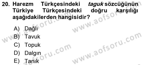 XI-XIII. Yüzyıllar Türk Dili Dersi 2024 - 2025 Yılı Yaz Okulu Sınav Soruları 20. Soru