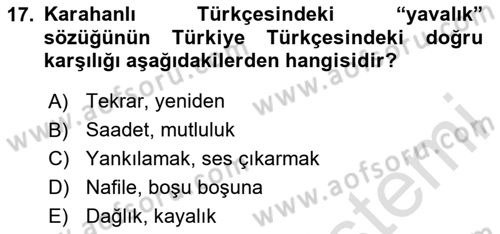 XI-XIII. Yüzyıllar Türk Dili Dersi 2025 - 2026 Yılı (Vize) Ara Sınav Soruları 17. Soru