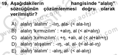 XI-XIII. Yüzyıllar Türk Dili Dersi 2025 - 2026 Yılı (Final) Dönem Sonu Sınav Soruları 19. Soru